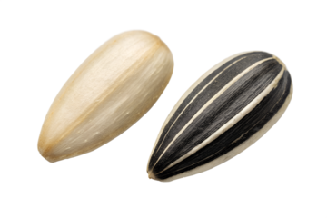 A set of small wooden planter boxes with dovetail joints. One contains a succulent, representing natural growth, potential, and minimalist home gardening