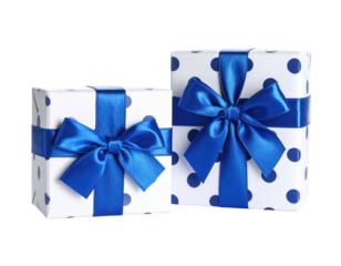 Two square wrapped presents, white with blue polka dots, tied with elegant, satin blue ribbons