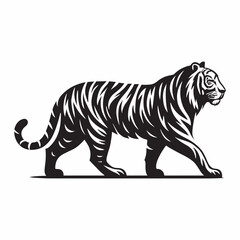 Walking Tiger Outline Illustration