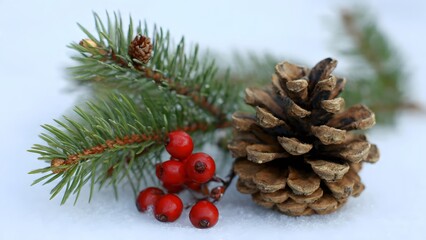 Christmas pinecone and vibrant red berries resting on fresh white snow, next to a detailed green fir tree branch with needles and small pine bud, capturing a peaceful rustic winter holiday scene.