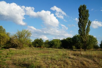 Landscapes of the steppe and forest belts in southern Ukraine