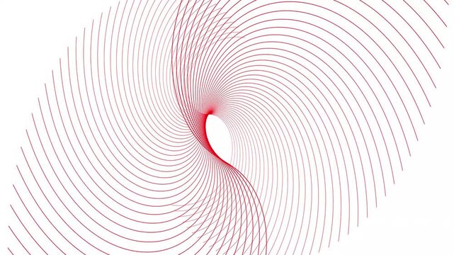 Abstract geometric rotate red line wave animation. White background 4k video.	