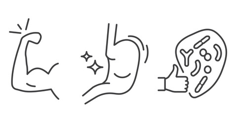 Strong and healthy icon set isolated on transparent background. Includes good immunity, strong body, healthy stomach, and beneficial bacteria symbols in clean linear style. Editable stroke.