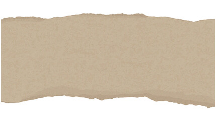 torn cardboard isolated on white