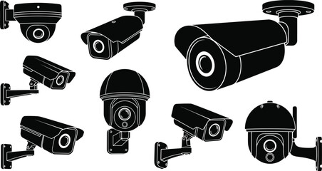 Frog and Tadpole Life Cycle Silhouette Set, Black Vector Illustrations of Amphibians, Frogs Standing and Jumping, Plus Tadpoles for Biology, Nature, and Scientific Graphic Design Isolated.