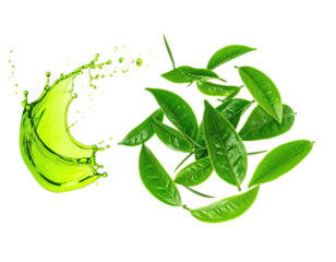 Artistic depiction of fresh green tea leaves with a vibrant splash of liquid on a black backdrop