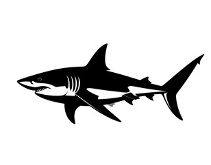 Fototapeta premium Silhouette of a great white shark
