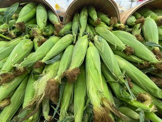 Grocery store raw corn in buckets on display abundance