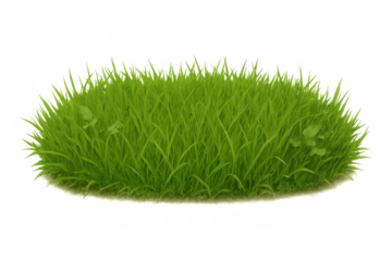 Green grass patch with vibrant fresh blades growing on transparent background, showing lush nature texture