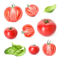 Fototapeta premium Fresh tomatoes and green basil leaves isolated on white, set