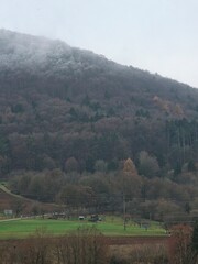 landscape with mountains and trees
