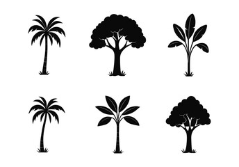 Set of tropical and forest tree silhouettes on transparent background