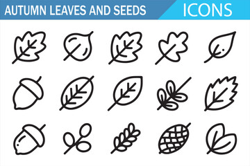 Fototapeta premium Botanical Autumn Leaf and Seed Outline Icons Collection