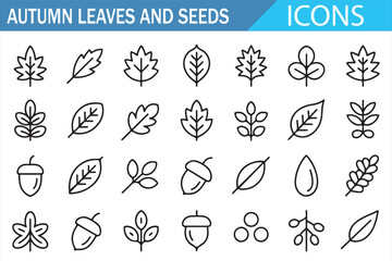 Autumn Leaves and Seeds Line Icon Set, Botanical Nature Outline Symbols Collection for Fall Season Design, Eco, Natural, Organic Vector Style Illustration