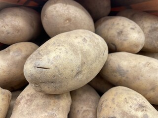 Grocery store raw potato display in produce