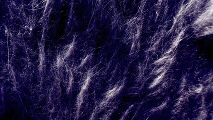 Fototapeta premium close up of tangled white fibrous strands on dark purple background with wispy blurred texture