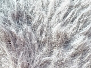 close-up abstract texture of white tangled fibers with soft fluffy strands and subtle gray tones on light background