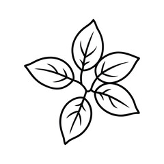 Minimal botanical line art showing a five leaf cluster in simple black and white style Vector illustration