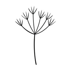 Minimalist dill herb line art showing a clean simple botanical stem and leaf illustration Vector illustration