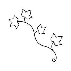 Minimalist ivy vine line art offering a simple botanical leaf and tendril illustration Vector illustration
