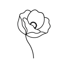 Minimalist poppy flower line art illustration showing a delicate stylized floral bloom Vector illustration