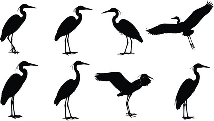 Technical Drawing of a Women's Cropped Hoodie Sweatshirt Vector Illustration, Front and Back Flat Sketch with Dropped Puff Sleeves for Fashion Apparel Design and Production,