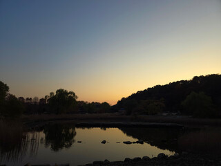 Calm pond landscape with sunset horizon and silhouettes of trees in peaceful dusk light