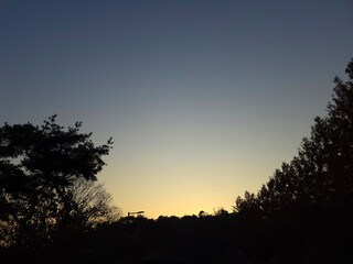 Golden sunset horizon with tree silhouettes under a soft tranquil evening sky gradient