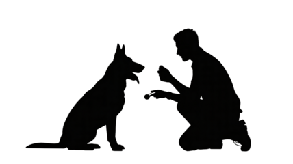 Loyal dog greets owner affectionately in the dark night setting