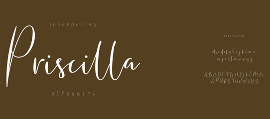 Lettering Minimalist Fashion. Elegant alphabet letters serif font and number. Typography fonts regular uppercase, lowercase.