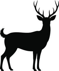 Obraz premium Elegant deer silhouette standing tall with antlers