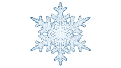 Detailed Realistic Snowflake Macro Isolated