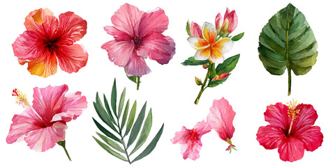 Vibrant watercolor collection of tropical hibiscus flowers and lush green leaves