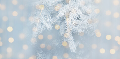 Christmas greeting card with fir tree branches and bokeh lights. Banner design