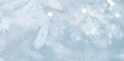 Christmas greeting card with fir tree branches and bokeh lights. Banner design