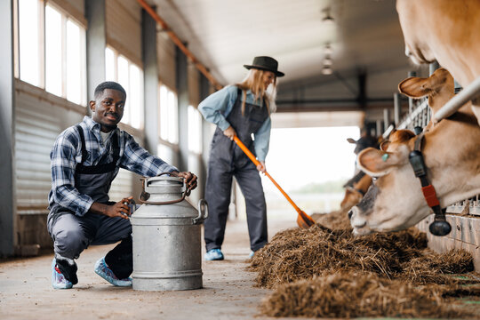 Concept people worker of industry cattle livestock. Team farmers young caucasian woman and African American posing in cowhed. - Powered by Adobe