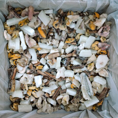 Frozen seafood in a supermarket refrigerator