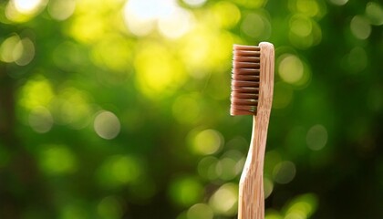 Close-up collection of garden tools and grooming accessories on a clean white background