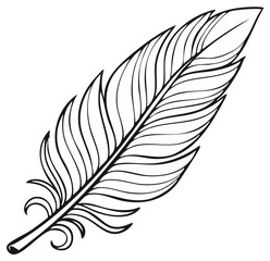 Fototapeta premium Detailed black and white illustration of a feather with intricate design and curved lines.