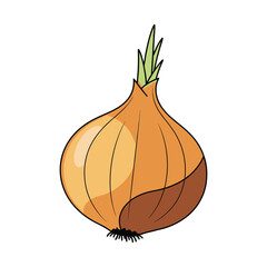 onion bulb vegetable vector illustration