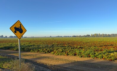 Ripe Tomato Fields and The Worker on a Tractor Road Sign During Harvest Season in California.