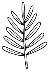 Fototapeta premium Hand drawn botanical branch with leaves sketch. Black and white vector illustration for coloring book.