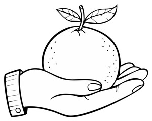 Hand holding fresh citrus fruit with leaves in a black and white outline drawing