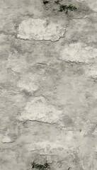 Obraz premium Weathered Cement Surface with Time-Worn Brushed Paint Texture and Grunge Wall Aesthetic Detail