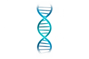 Dna double helix structure representing genetics, biology, research, and scientific discovery on transparent background
