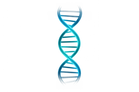 Dna double helix structure representing genetics, biology, research, and scientific discovery on transparent background - Powered by Adobe