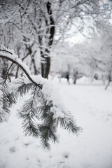 snowfall in the city, winter cityscape	