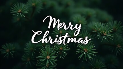 Elegant merry christmas greeting superimposed on a dark green pine tree background