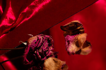 roses and mirror on red