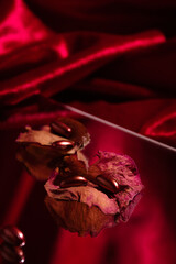 red pills and petals on red background